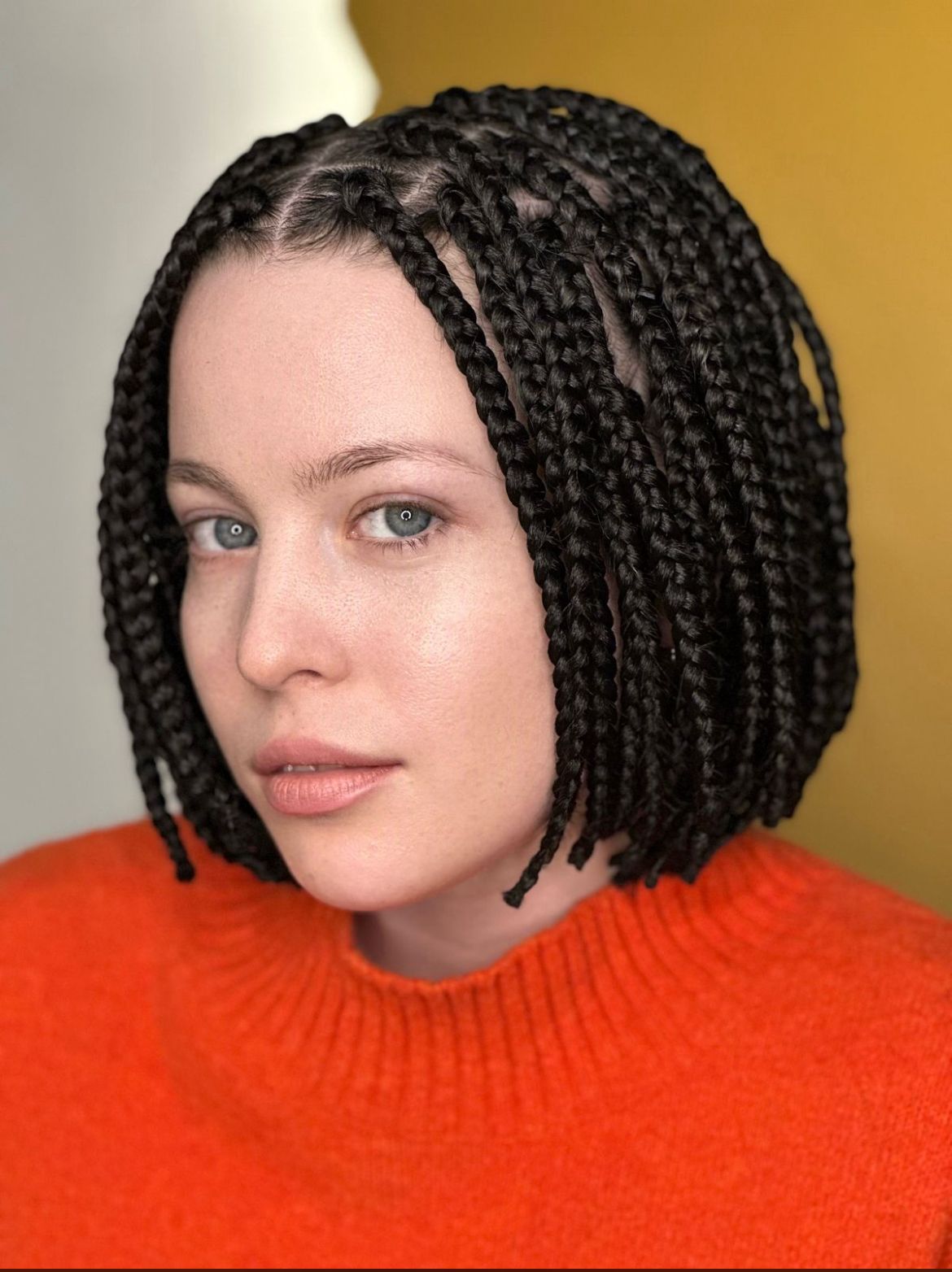 Braids Style 6